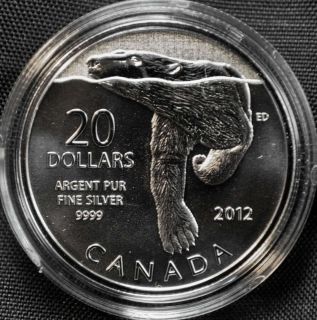 2012 canada $ 20 fine silver coin polar bear from