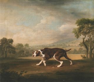   Pointer, Antique painting repo, GeEORGE STUBBS ART, Nice 15 Print