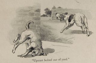 1930 print harrier fox hound kipling toby terrier dog time