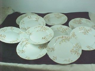 set 10 t r boote 1800s dinner plates waterloo potteries