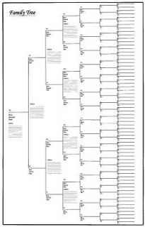 large family tree chart bracket style 24 x 36 time
