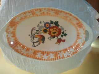 PK   Unity Germany   64   with flowers and peacock on oval dish