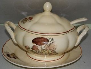 z027 Hand Painted Weiss Mushroom Soup Tureen with Ladle and Platter