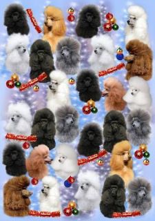 poodle christmas wrapping paper by starprint  4