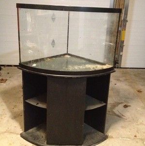 38 Gallon Glass Corner Bow Front Tank Aquarium Great Condition No 