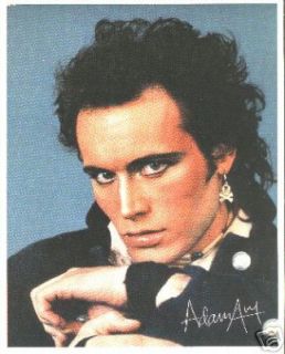 4404 Adam The Ants Ant Photograph Head Shot Picture