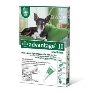 Advantage II Flea Control Treatment 6 Month Dogs Up to 10lbs Small Dog 