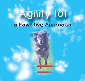Agility 101 Dog Agility Training Great New DVD