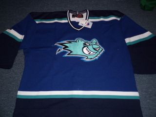 UNWORN VINTAGE SP AHL WORCESTER ICECATS TEAM ISSUED AUTHENTIC JERSEY 