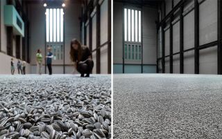 100pcs *Ai Weiwei* PORCELAIN SUNFLOWER SEEDS TATE MODERN LONDON Free 