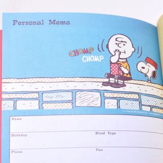   09 2013 Snoopy Schedule Book Monthly Planner Agenda Comic B6
