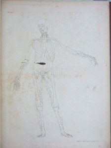 1749 Extremely RARE C18 Medical Elephant Folio Atlas 1st Ed Albinus 