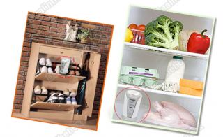 Refrigerator Air Purifier Cleaner Fresh Fridge Kitchen