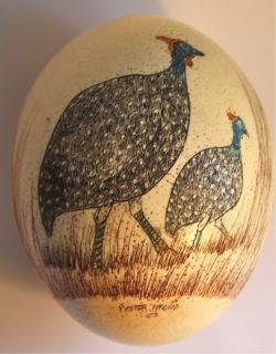 Scrimshaw Ostrich Egg Beautiful African Carving of Birds Signed Foster 