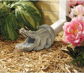 Playful Alligator Guardian Wide Mouth Scaly Skin Wide Eyes Downspout 