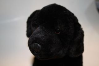 Animal Alley Plush Black Lab Puppy Dog 12 Labrador Retriever Brown 