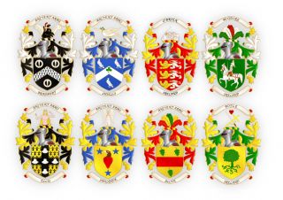 FAMILY CREST COAT OF ARMS with surname meaning (print) medium