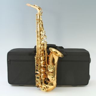 Virtuoso Student Alto Saxophone with Deluxe Zippered Case and 