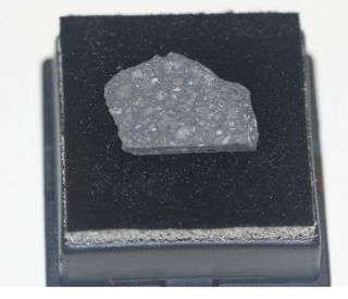 Allende Mexico Meteorite Slice Class (CV3) 1.6 grams In Small Display 