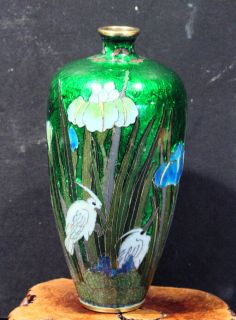 Antique Japanese Cloisonne Vase RARE Color Subject