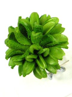 Leather Amaryllis Flower Adjustable Rhodium Ring BIA4 Green