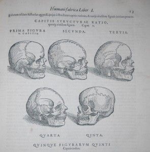 1568 Vesalius «on The Fabric of The Human Body» The Birth of Modern 