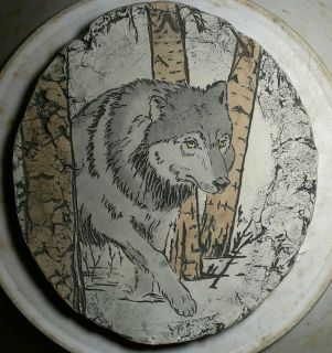 Endangered Species North American Wolf