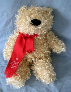 Stuffed Plush Teddy Bear Animal Adventure James 1 17 Bible Scripture 