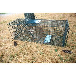 Green Live Animal Pet Trap Cage Humane Capture