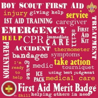 12x12 Boy Scout First Aid Badge Scrapbook Paper 97395K