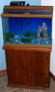 20 GALLON FISH Tank Aquarium w/ Wood Stand   Filter   Heater   Light 
