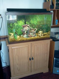 30 Gallon Aquarium Oak Stand Complete Local Pick Up Only