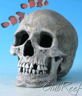 Skull Human Like Resin Aquarium Decoration Ornament