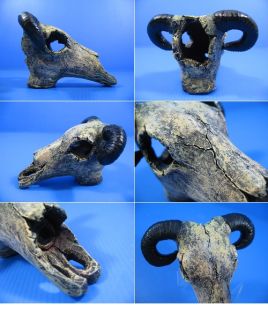 Goat Skull cave 4 9x4 5x3 2 Aquarium Ornament Decor Resin Fish 