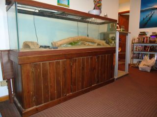 125 Fish Tank with Stand