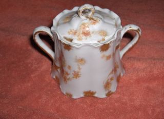 Antique Haviland China Pink and Yellow Leaf Limoges Mini Sugar 