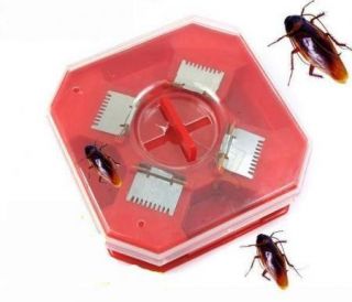 Cockroach Traps Clean Effective Easy Insect Killer