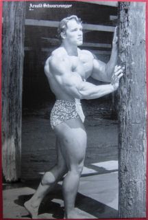   more now warehouse posters arnold schwarzenegger bodybuilding poster 3