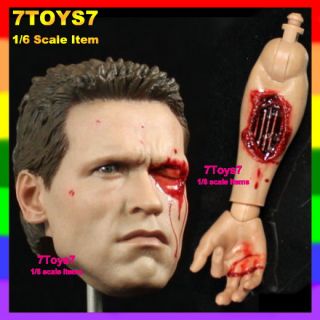 Hot Toys 1 6 Terminator T800 Box Set Arnold EMS HT055Z
