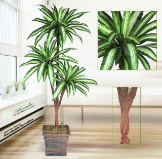 Artificial Palm Tree 6 Yucca Cycas Birdnest Dracaena