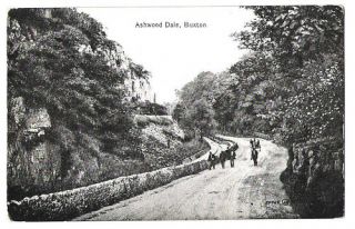 Ashwood Dale Buxton Derbyshire England 1903 15 Postcard