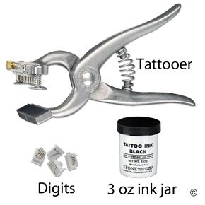 Stone Standard 3 8 Tattoo Outfit Includes Tottooer 3 oz Ink and 