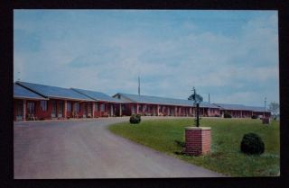 1950s New Ingleside Motel Athens TN McMinn Co Postcard