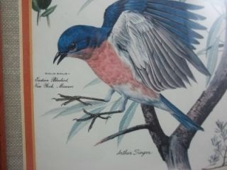 Vintage Arthur Singer Signed Bird Variety Framed Picture