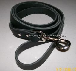 Punk Hollow   Leather Dog Leash   Training Leash   6ft X 1in   Black 