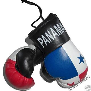 Panama Mini Punch Boxing Gloves Flag Car Mirror Mascot