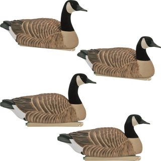 Avery Greenhead Gear GHG Life Size Canada GOOSE Floater Active 4 Pack 