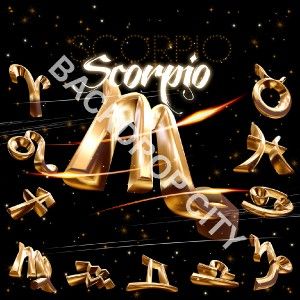 10x10 Scorpo Zodiac Club Hip Hop Background Backdrop