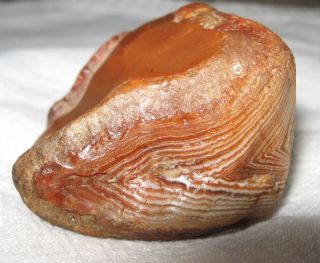    oz LAKE SUPERIOR AGATE RED AND WHITE DANDY BANDY Minnesota State Gem