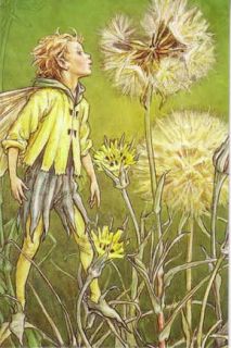 Cicely Mary Barker Fairy Notecards Fragrance of Spring
